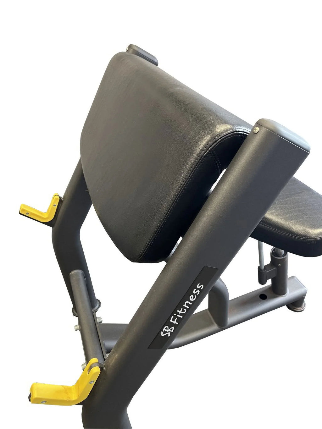 Fitness  Commercial Preacher Curl Bench