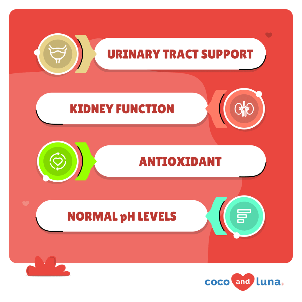 Coco and Luna Urinary Tract - Cranberry, Bladder Support, Dog  - 120 Tablets
