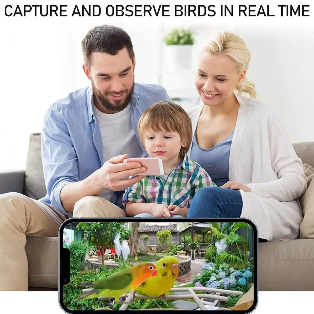 Smart Bird Feeder Camera 1080P Auto Capture Bird Video and Motion Detection Real-time Notification  Identify Bird Species  Waterproof 128G  Cards