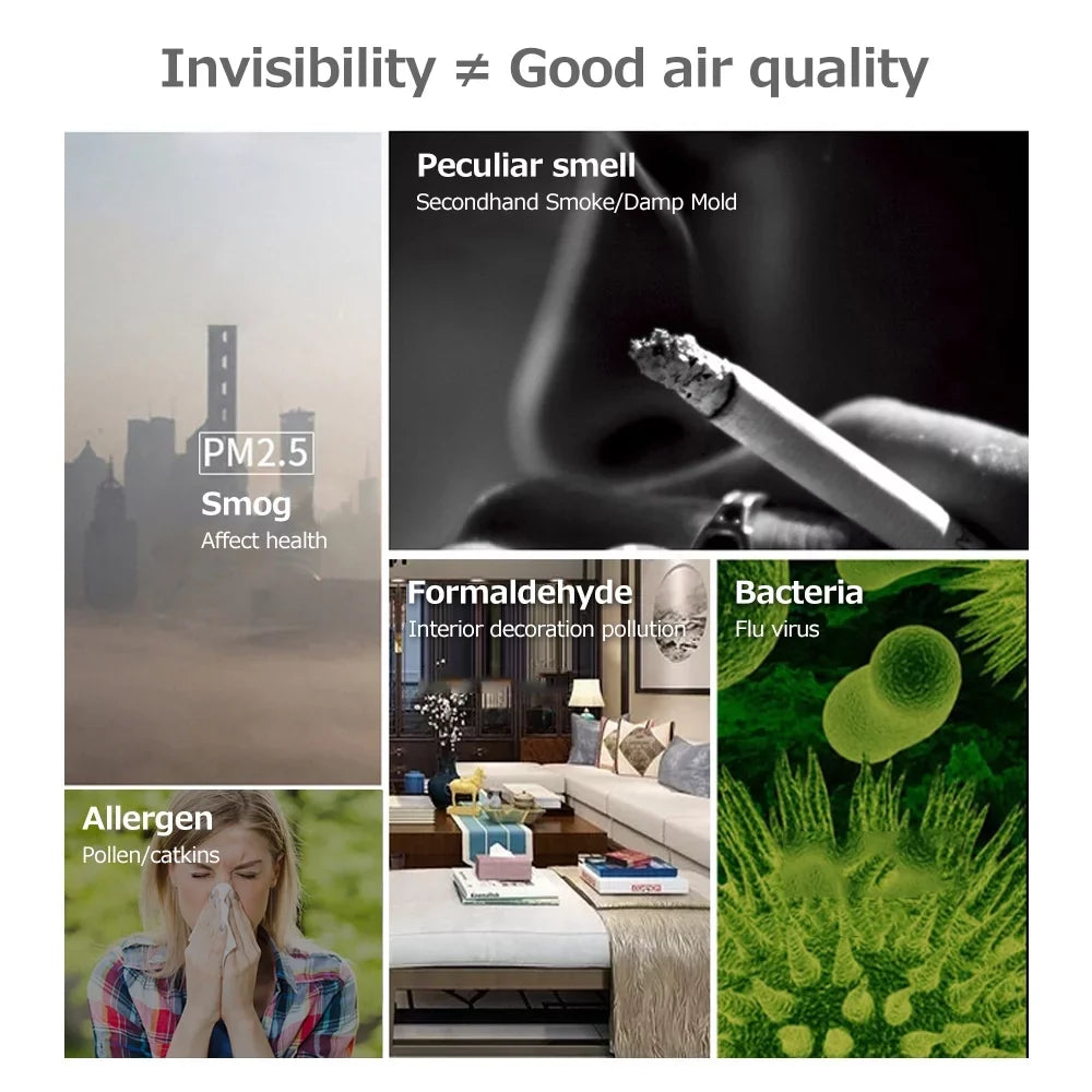 Tomfoto Air Purifier Multifunctional Desktop Mini 100mg/h 360° Negative Ion  Machine  Mosquito Repellent Household Pet Deodorizer Vehicle Indoor Aroma Diffuser