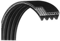 Precor  556i 576i C534i  Elliptical Crosstrainer Wider Main Drive Belt