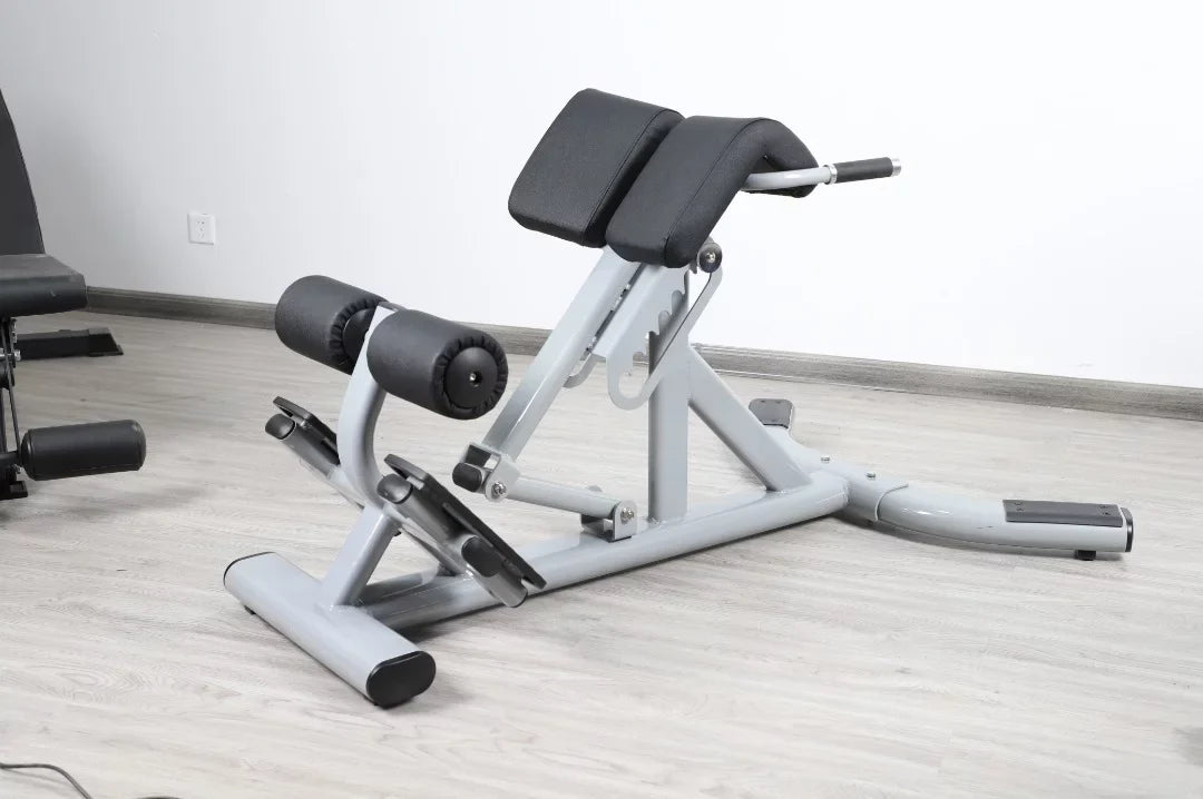 French Fitness  Silver 45 Degree Hyperextension Back Extension (New)