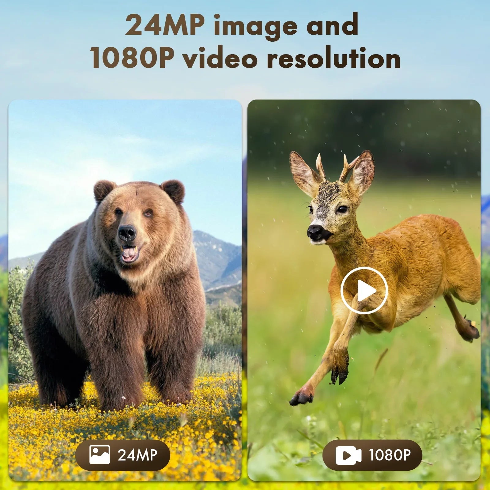 Solar Trail Camera 24MP 1080P Game Camera with 2500mAh Built-in Lithium Battery Rechargeable Night Vision Waterproof  Motion Activated 0.1s Trigger Speed 120°Wide Angle Hunting Cam