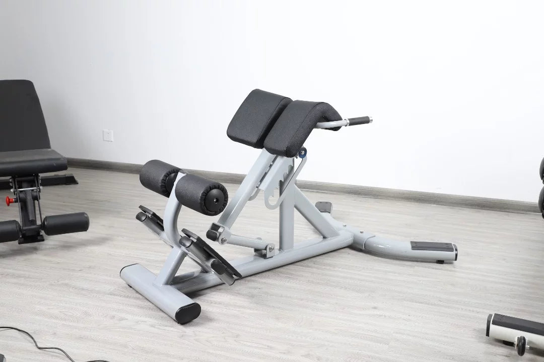 French Fitness  Silver 45 Degree Hyperextension Back Extension (New)