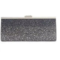 International Concepts Carolyn Ombré Glitter Clutch Evening Bag  New with box/tags