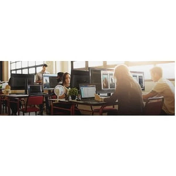 Business  31" Class 4K   Monitor, 16:9, Black