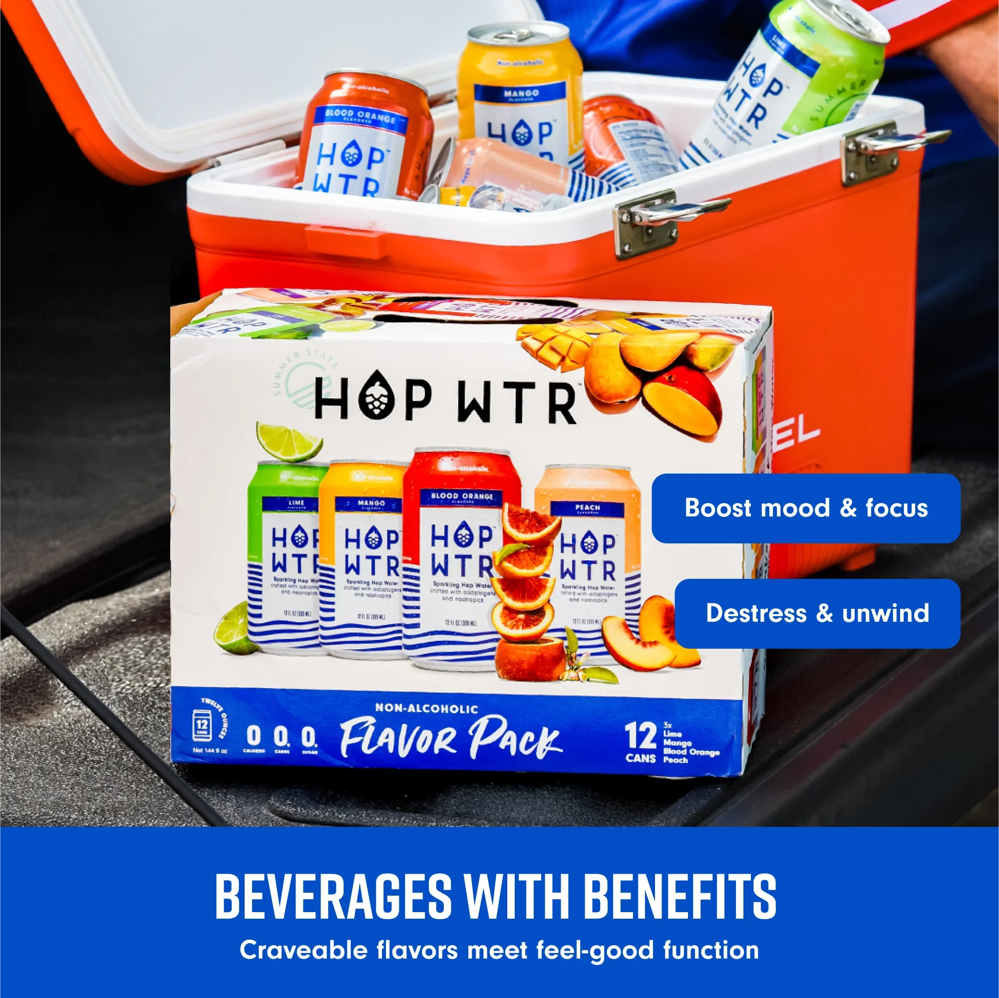 '- Sparkling Hop Water - Flavor Pack (12 Pack) -  Beer, No Calories or Sugar, Low Carb, With Adaptogens and Nootropics for Added Benefits (12 oz Cans)