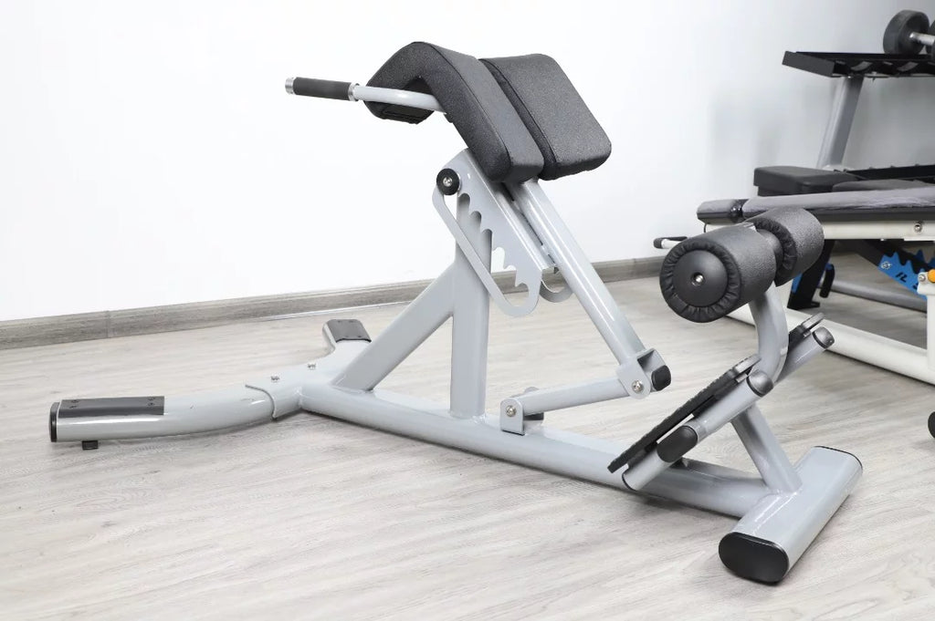 French Fitness  Silver 45 Degree Hyperextension Back Extension (New)
