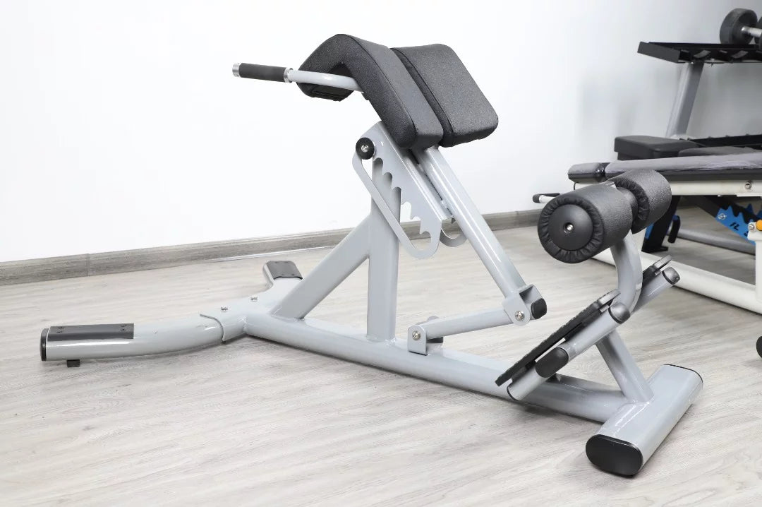 French Fitness  Silver 45 Degree Hyperextension Back Extension (New)