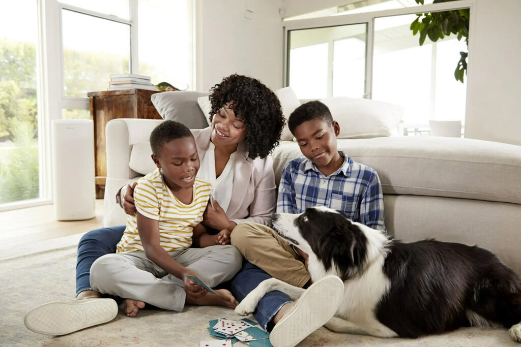 Filtrete by 3M, Smart 16x20x1,  12, Allergen, Bacteria & Virus  Air and Furnace Filter, Captures Allergens, Bacteria, Viruses, 1500 , 4 Filters