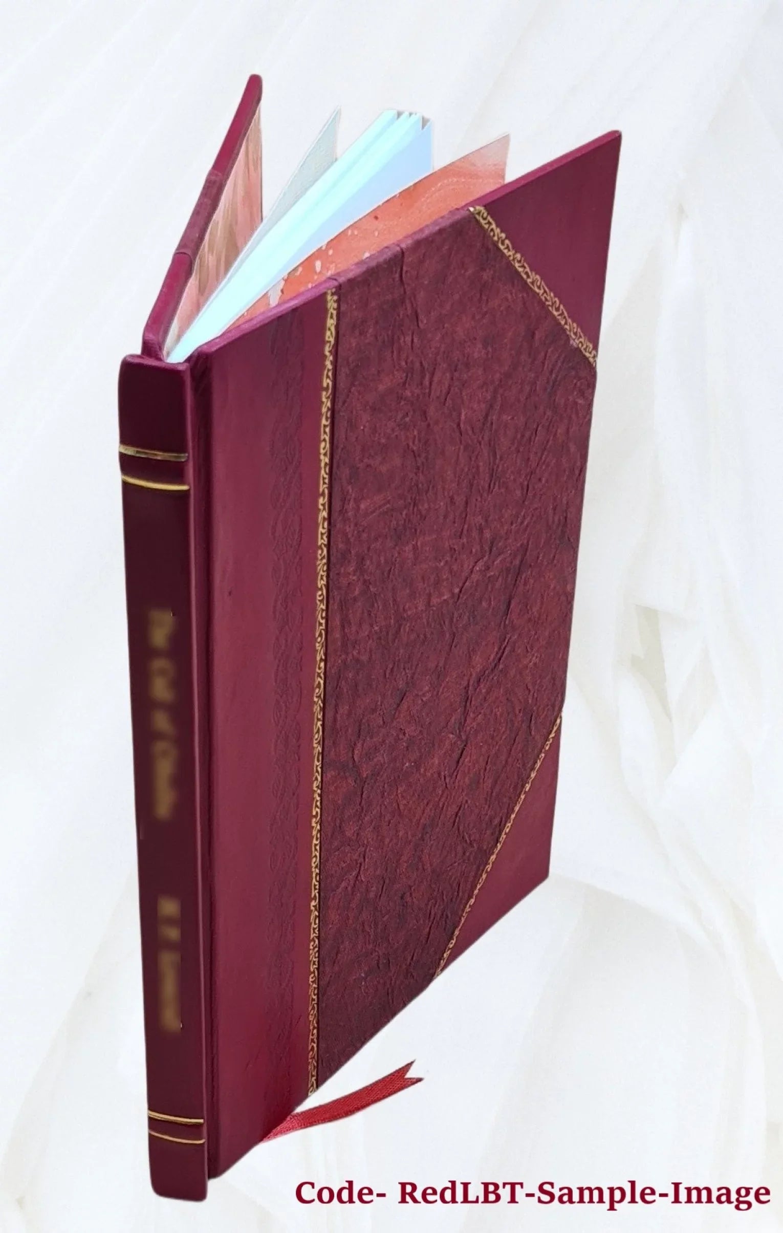 The theory of educational sloyd : the only authorized edition of the lectures of Otto Salomon. 1896 [Leather Bound]