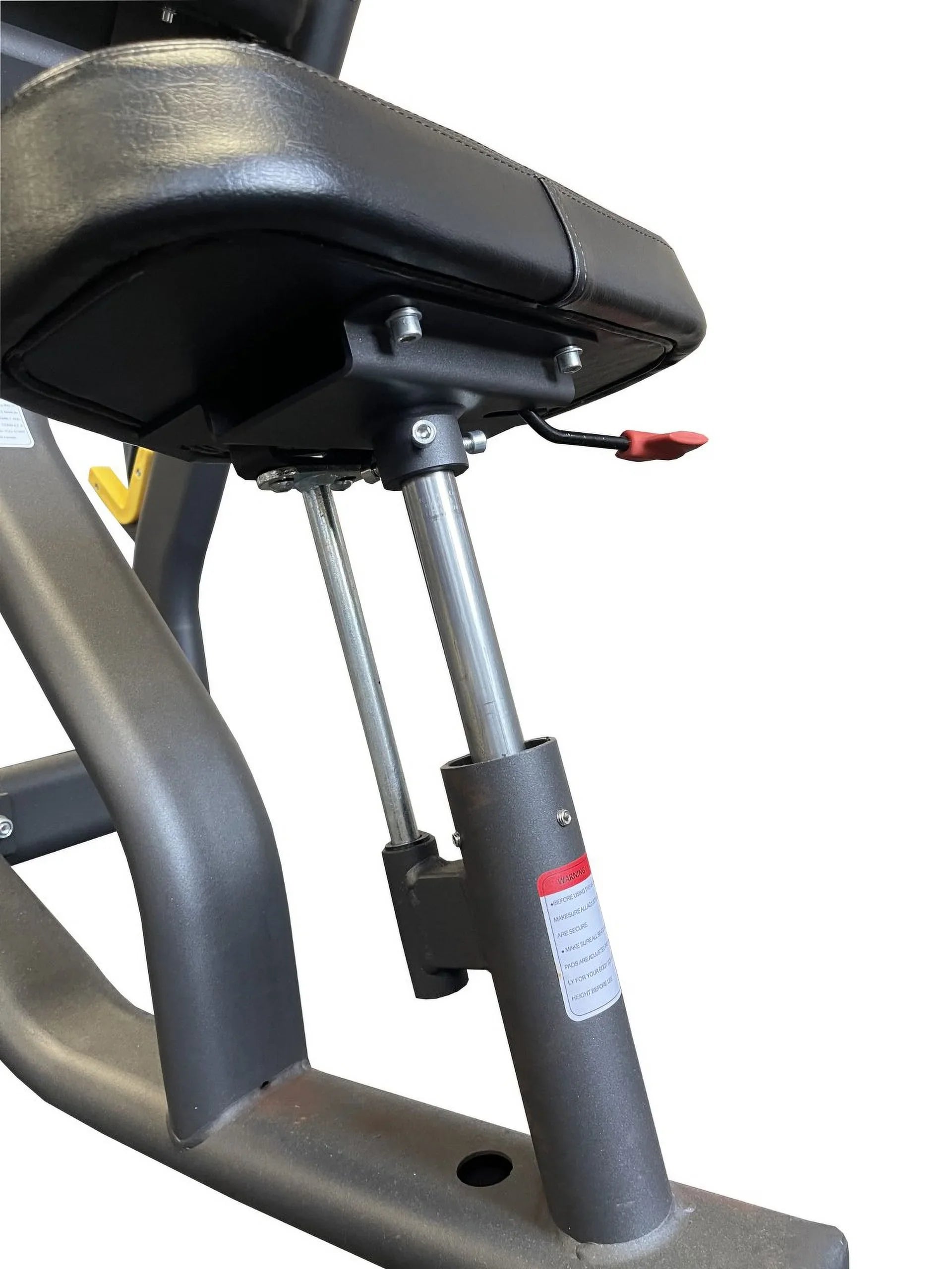 Fitness  Commercial Preacher Curl Bench