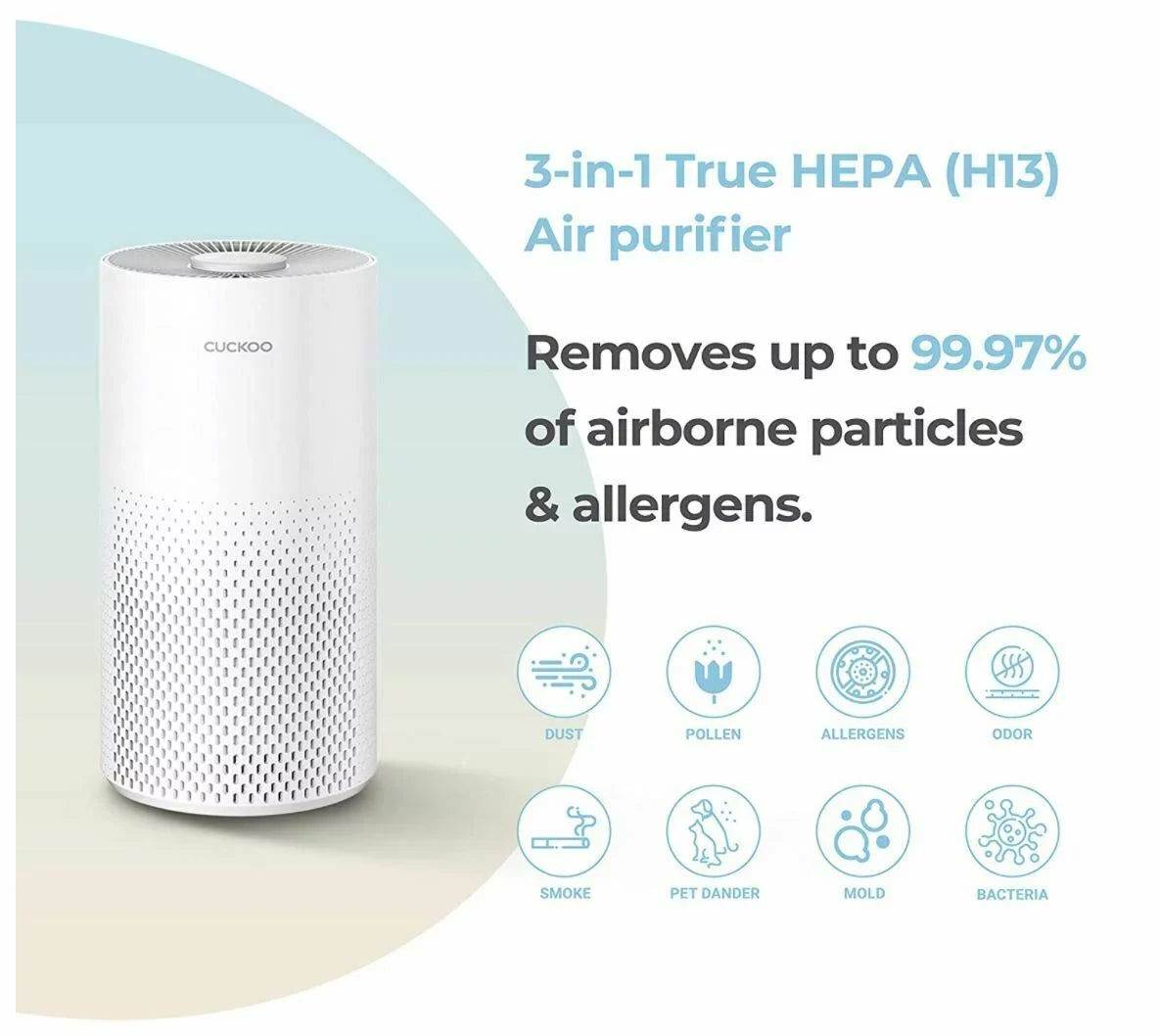 Air Purifier with Additional True  filter