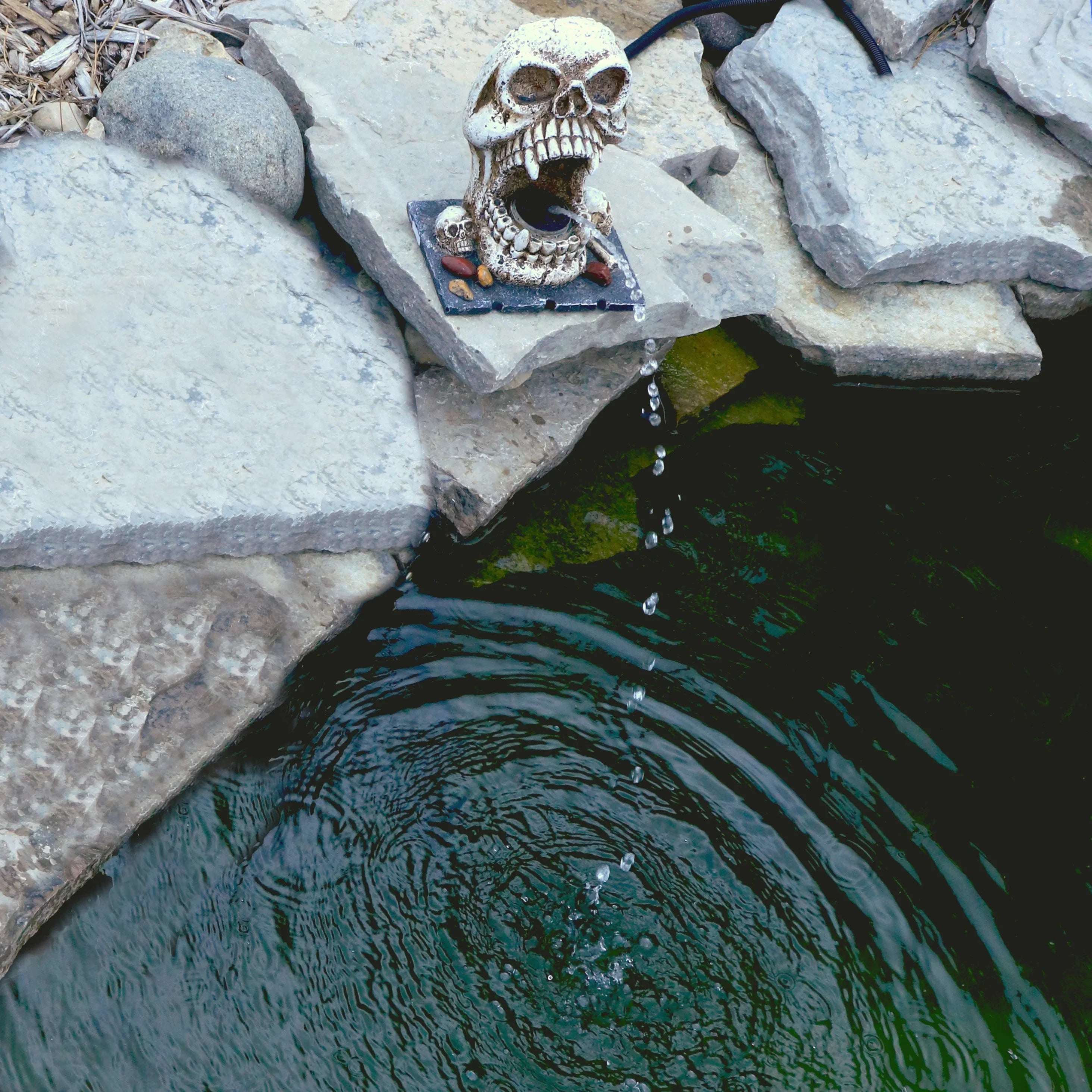 Custom Pro Skull Statuary Fountain Spitter Decorative Outdoor Water Feature