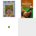 Children's Fun & Educational 4 Pack Paperback Book Bundle (Ages 6-12): Rivers in the Rain Forest Deep in the Rain Forest, Our World Readers: Caring for Elephant Orphans: American English, People in th
