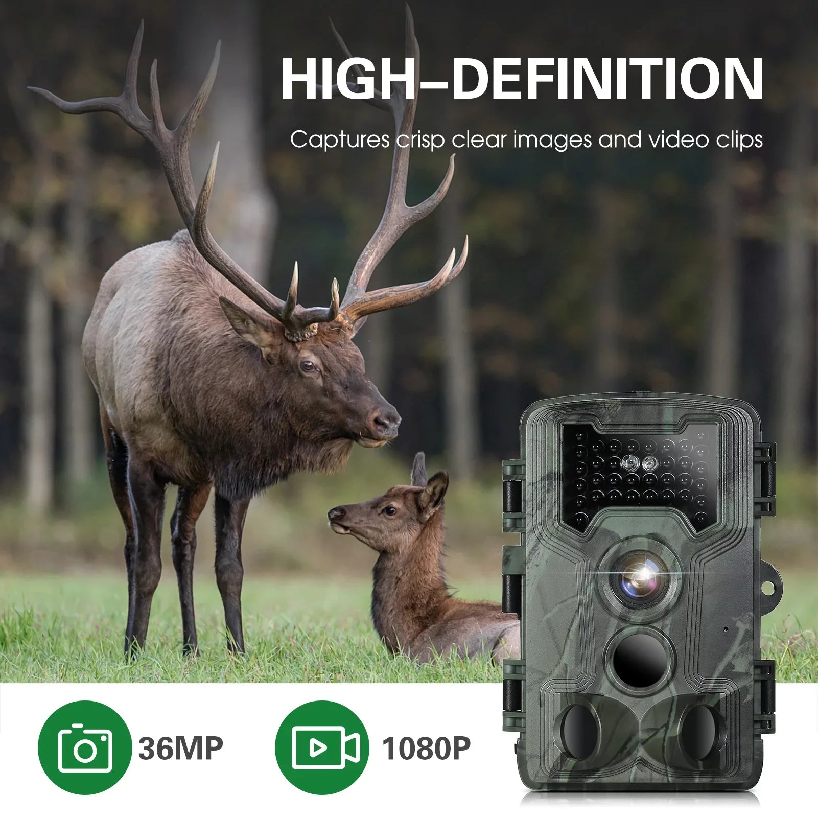 36MP Waterproof Trail and Game Camera, Night Vision Camera for Wildlife Researching