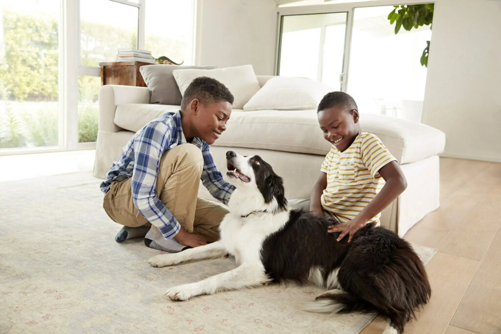 Filtrete by 3M, Smart 16x20x1,  12, Allergen, Bacteria & Virus  Air and Furnace Filter, Captures Allergens, Bacteria, Viruses, 1500 , 4 Filters