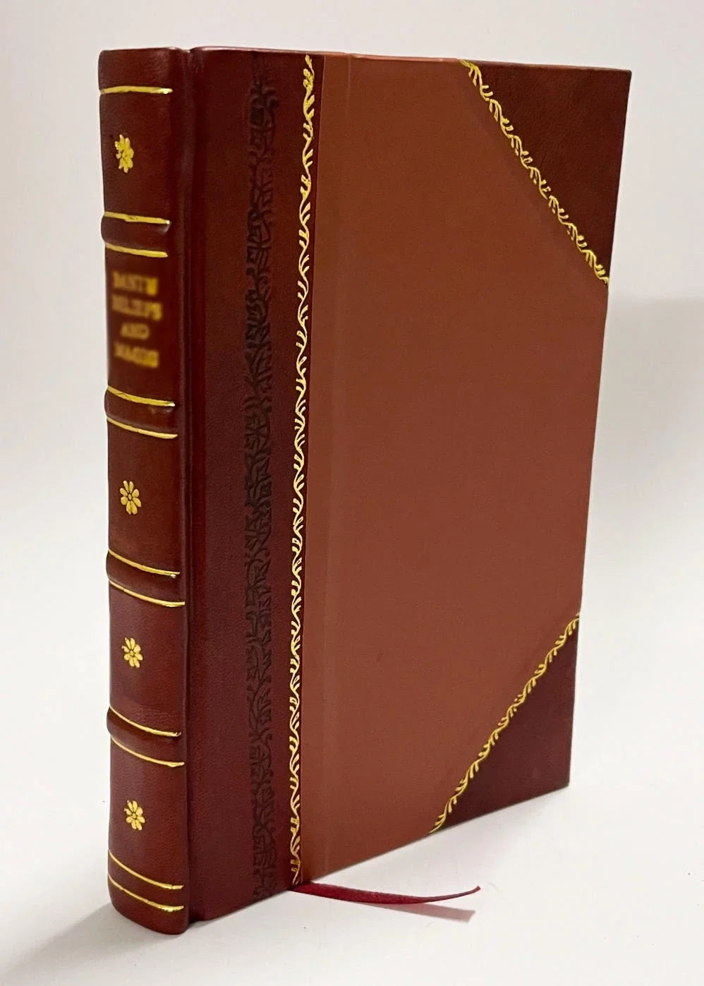 Picturesque America; Or, The Land We Live in : a Delineation by Pen and Pencil of the Mountains, Rivers, Lakes, Forests, Water-Falls, Shores, CanOns, Valleys, Cities, (1872) Volume 3 [Leather Bound]