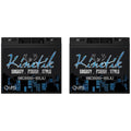 600 Watt Replacement Battery for     - 2 Pack