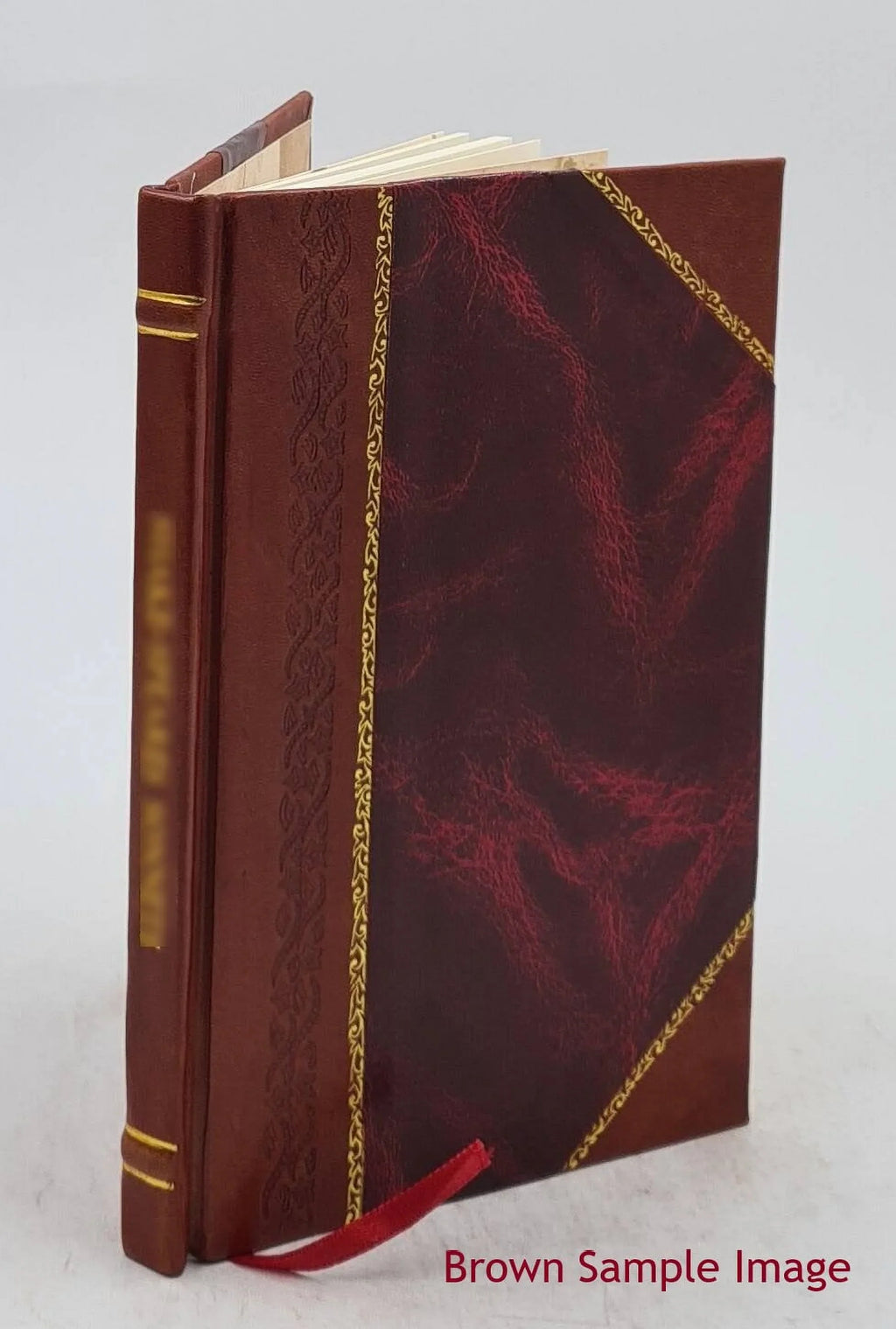 The theory of educational sloyd : the only authorized edition of the lectures of Otto Salomon. 1896 [Leather Bound]