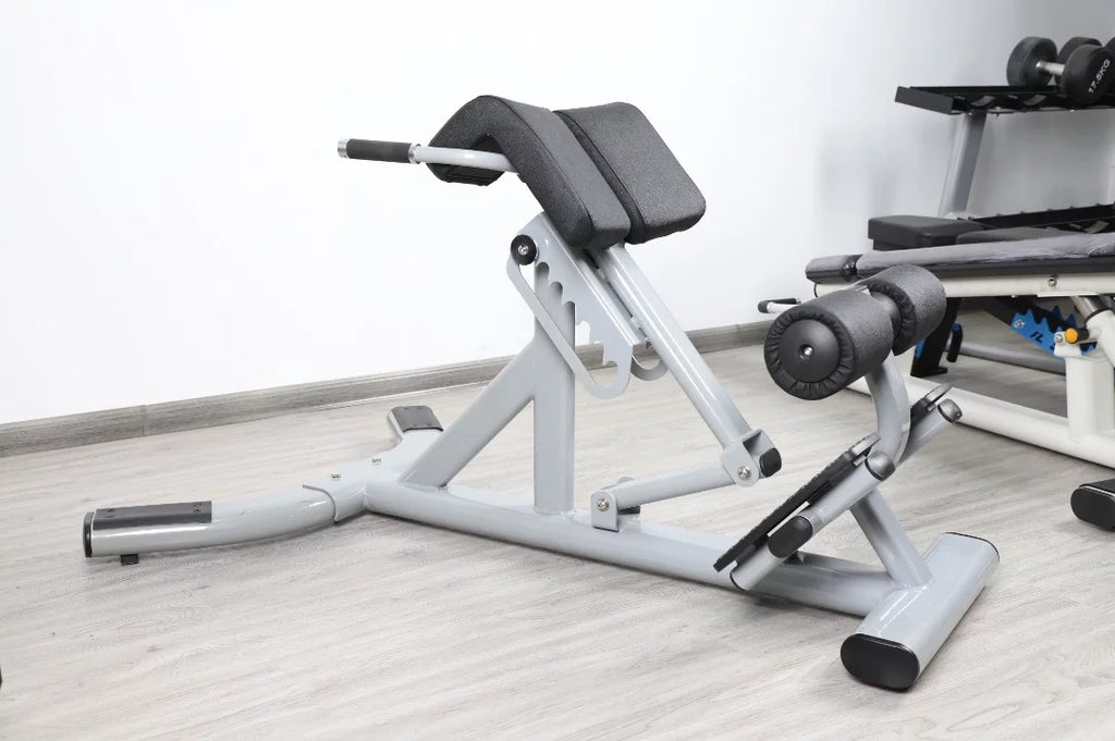 French Fitness  Silver 45 Degree Hyperextension Back Extension (New)