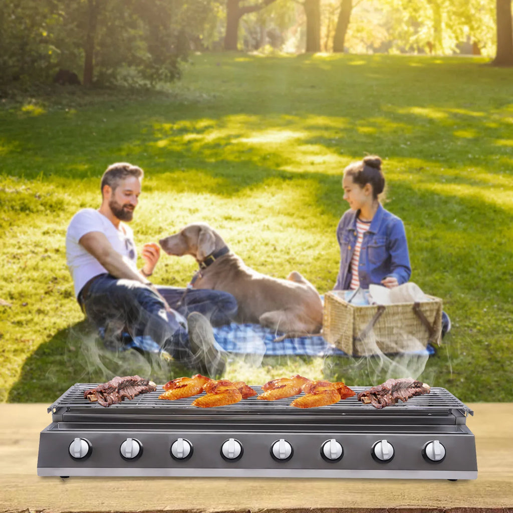 Grill Gas Barbecue Grill for Home Patio Garden Party Picnic, Stainless Steel