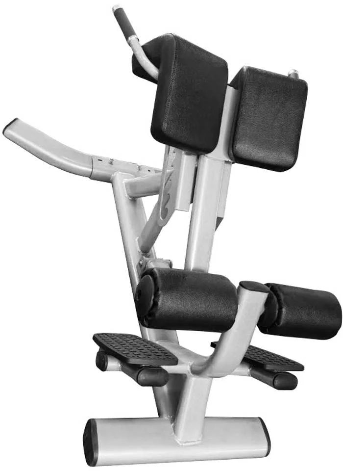 French Fitness  Silver 45 Degree Hyperextension Back Extension (New)