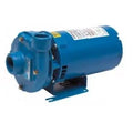 Goulds 2BF10512, Centrifugal Pump, Series 3642, 1/2 , 115/230 Volts, 1 Phase, 1-1/4"  Discharge, 3500 , Bronze Fitted