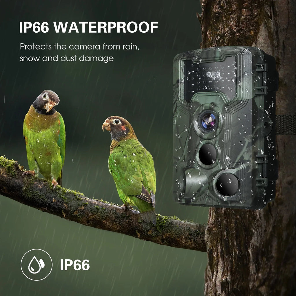 36MP Waterproof Trail and Game Camera, Night Vision Camera for Wildlife Researching
