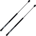 Rugged  Rear Trunk Lift Support Shock Gas Strut Fits 1994-2004 Ford Mustang