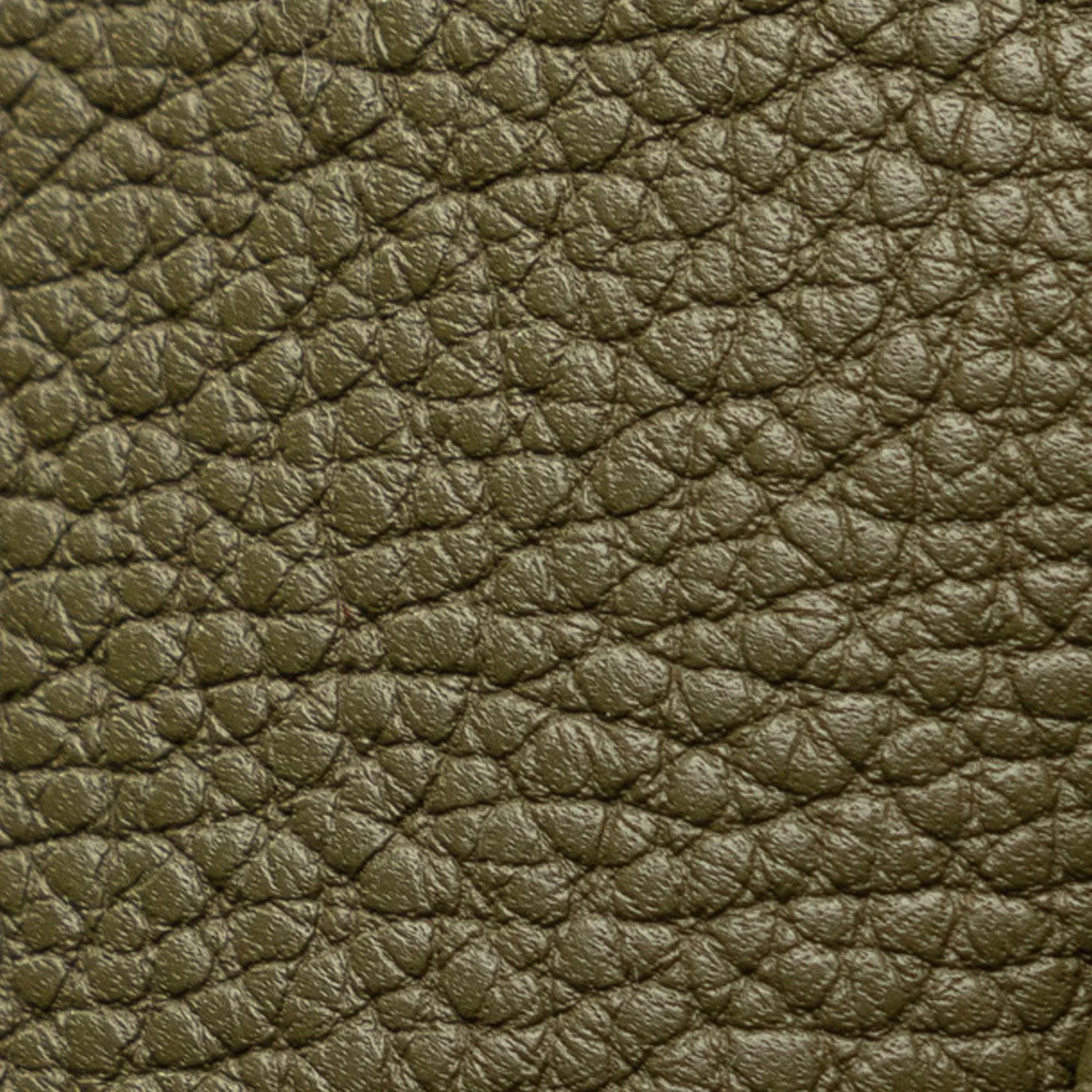 Pre-Owned Authenticated Celine Teen Bucket 16 Calf Leather Green Bucket Bag DrawstringBag Unisex (Good)
