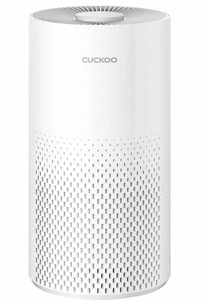 Air Purifier with Additional True  filter