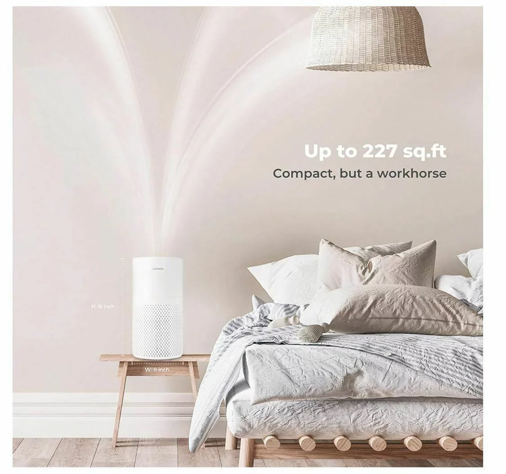 Air Purifier with Additional True  filter