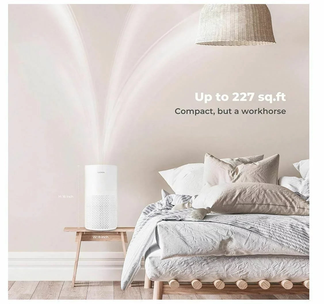 Air Purifier with Additional True  filter