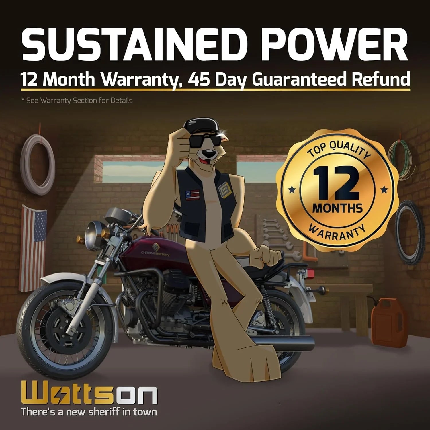 Rechargeable - Jet Ski Battery Replacement for  Wave Runner All  87-'09, Kawasaki, Polaris, & 's