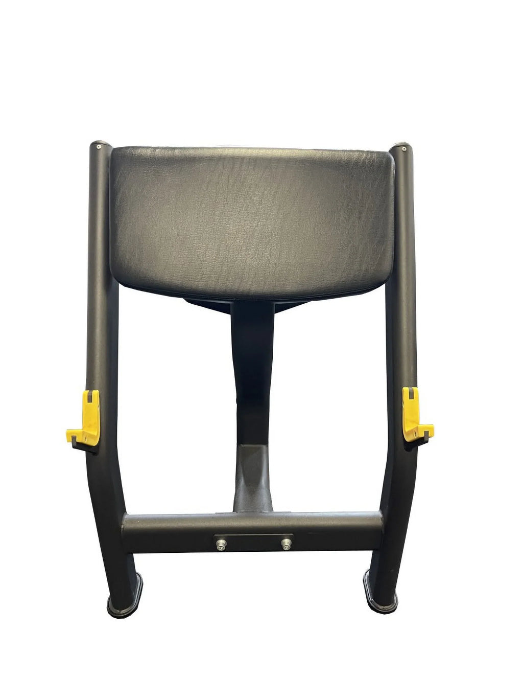 Fitness  Commercial Preacher Curl Bench